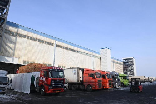 新疆海鴻國際食品物流港匯通智冷4萬噸倉庫試運行，打造國際冷鏈物流新樞紐